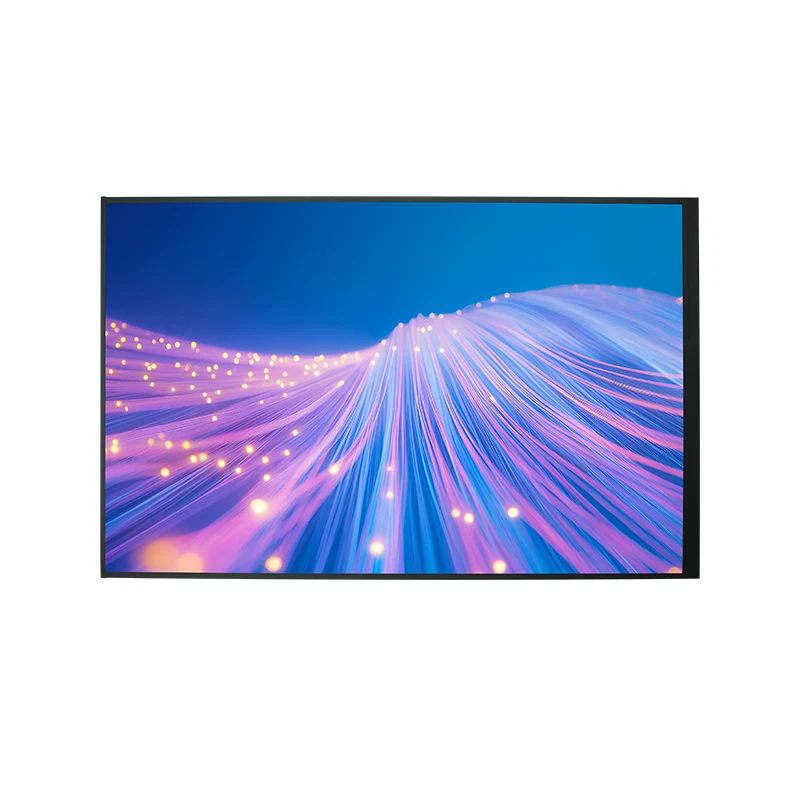 10,1 'Modulo di visualizzazione TFT LCD TFT