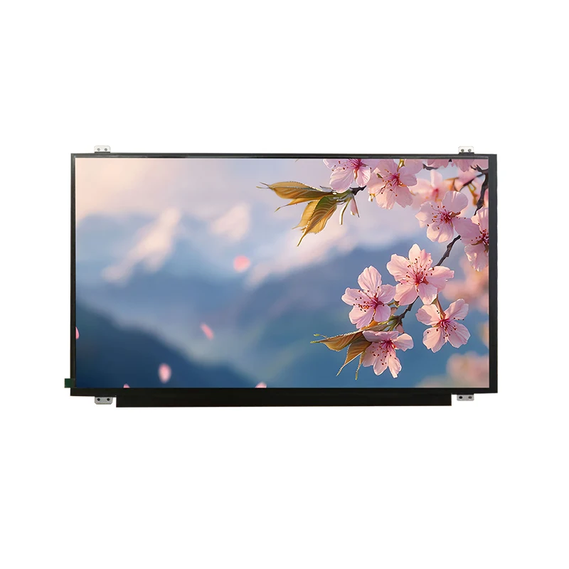 Modulo schermo LCD TFT TFT da 15,6 'HD HD