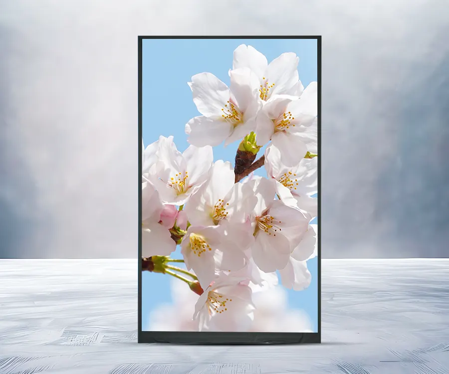 Display HD TFT LCD
