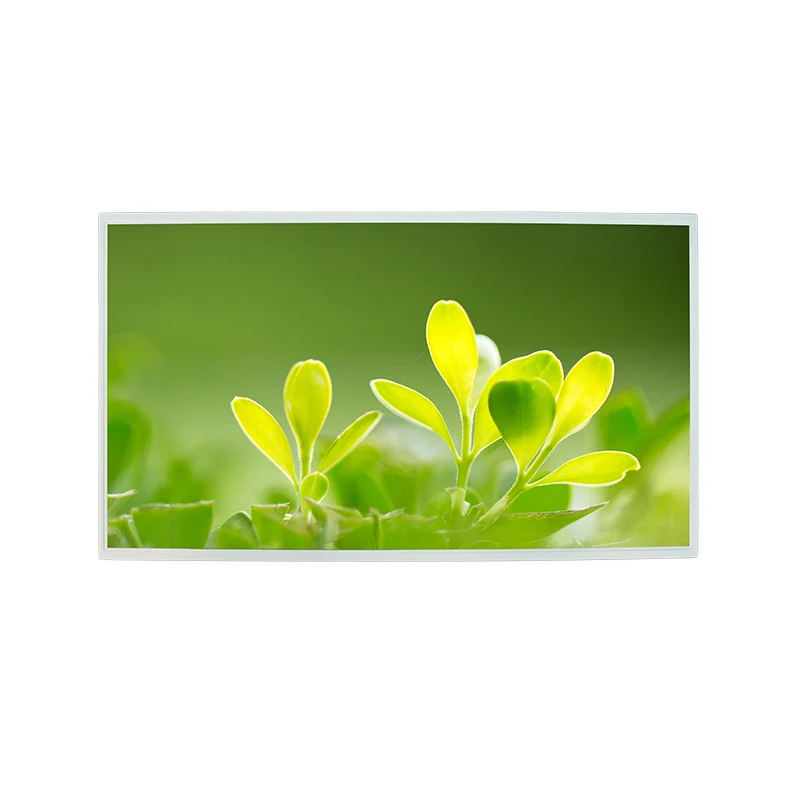 MODULO DI DISPLAS DI VISUALE LCD TFT da 21,5 'luminosità alta luminosità