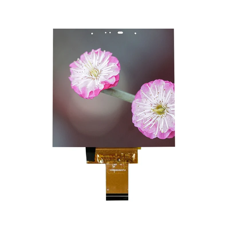 Modulo touch screen sottile in-cell IPS Wide Temp RGB 480X 480 da 3,95 pollici Modulo touch screen sottile in-cell IPS Wide Temp RGB 480X 480 da 3,95 pollici