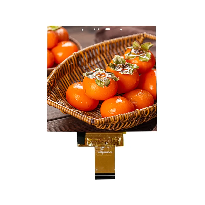 Modulo touch screen in-cell IPS di piccole dimensioni da 3,95 pollici per la casa intelligente Modulo touch screen in-cell IPS di piccole dimensioni da 3,95 pollici per la casa intelligente