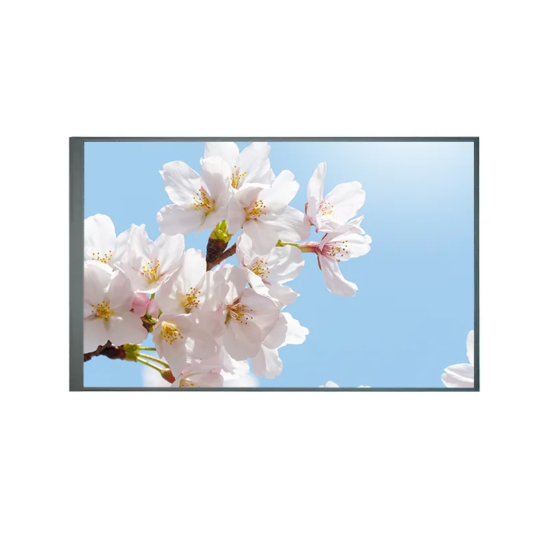 8,0 pollici normalmente indietro TFT IPS TFT LCD Schermo