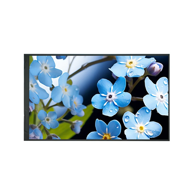 8,0 'Modulo di visualizzazione LCD TFT IPS industriale